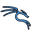 Kali Linux